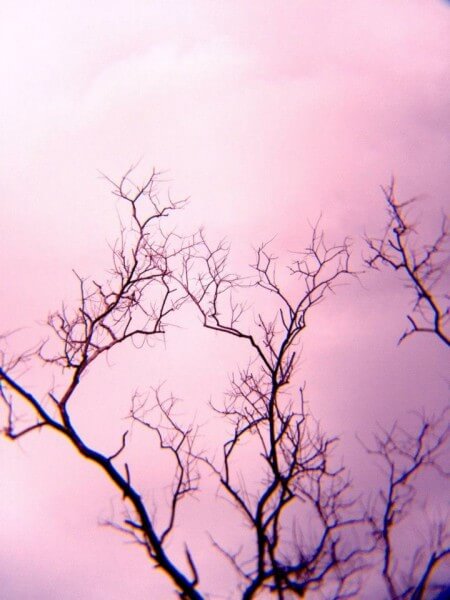 ภาพจากเลนส์ซูม 12x iPhone